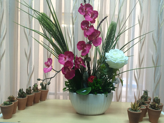 Flower training