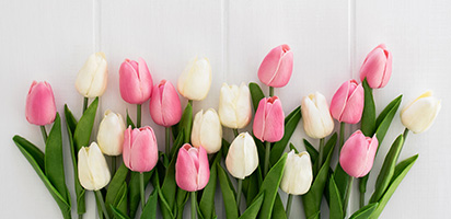 Order-Flowering-Img